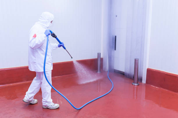 Professional Pressure Washing Services in North Wantagh, NY